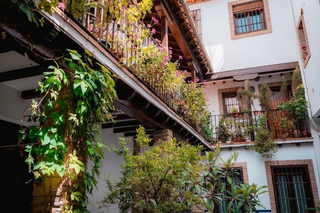Qh Caldeleria Vieja Apartment Granada Ngoại thất bức ảnh