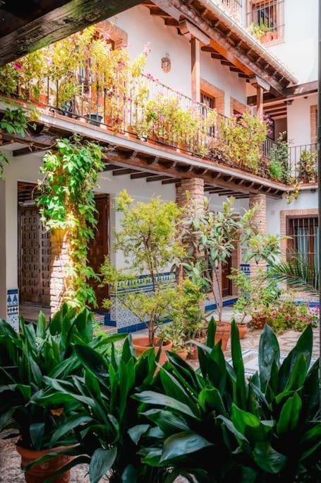 Qh Caldeleria Vieja Apartment Granada Ngoại thất bức ảnh