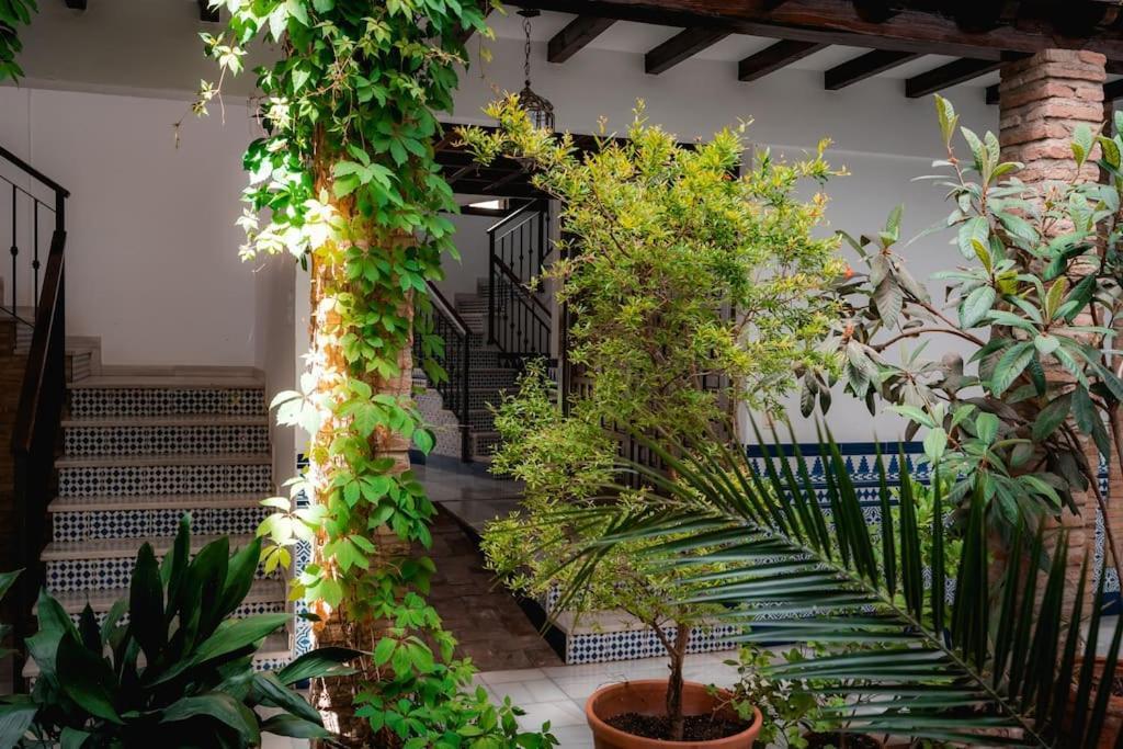 Qh Caldeleria Vieja Apartment Granada Ngoại thất bức ảnh
